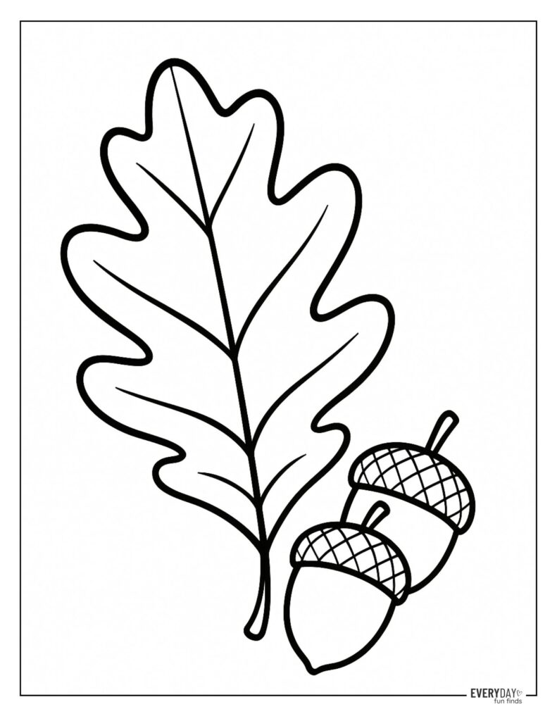 Acorns and Oak Leaf Coloring Page