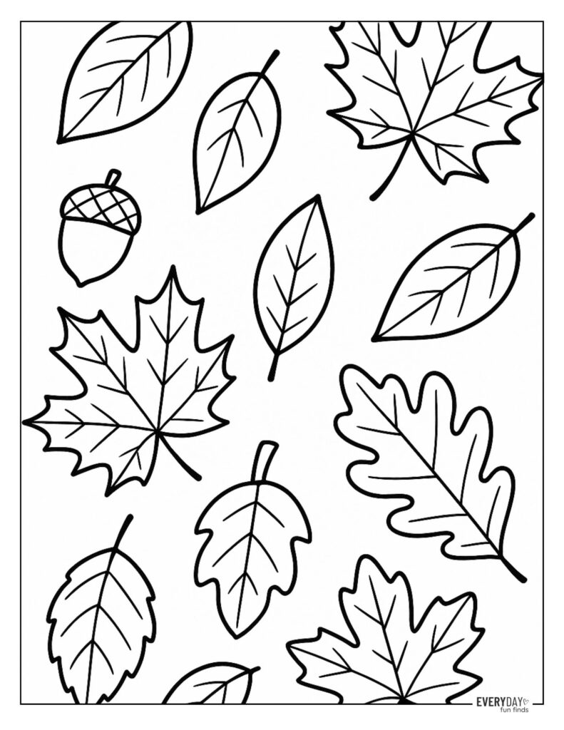 Coloring Page of Fall Leaves